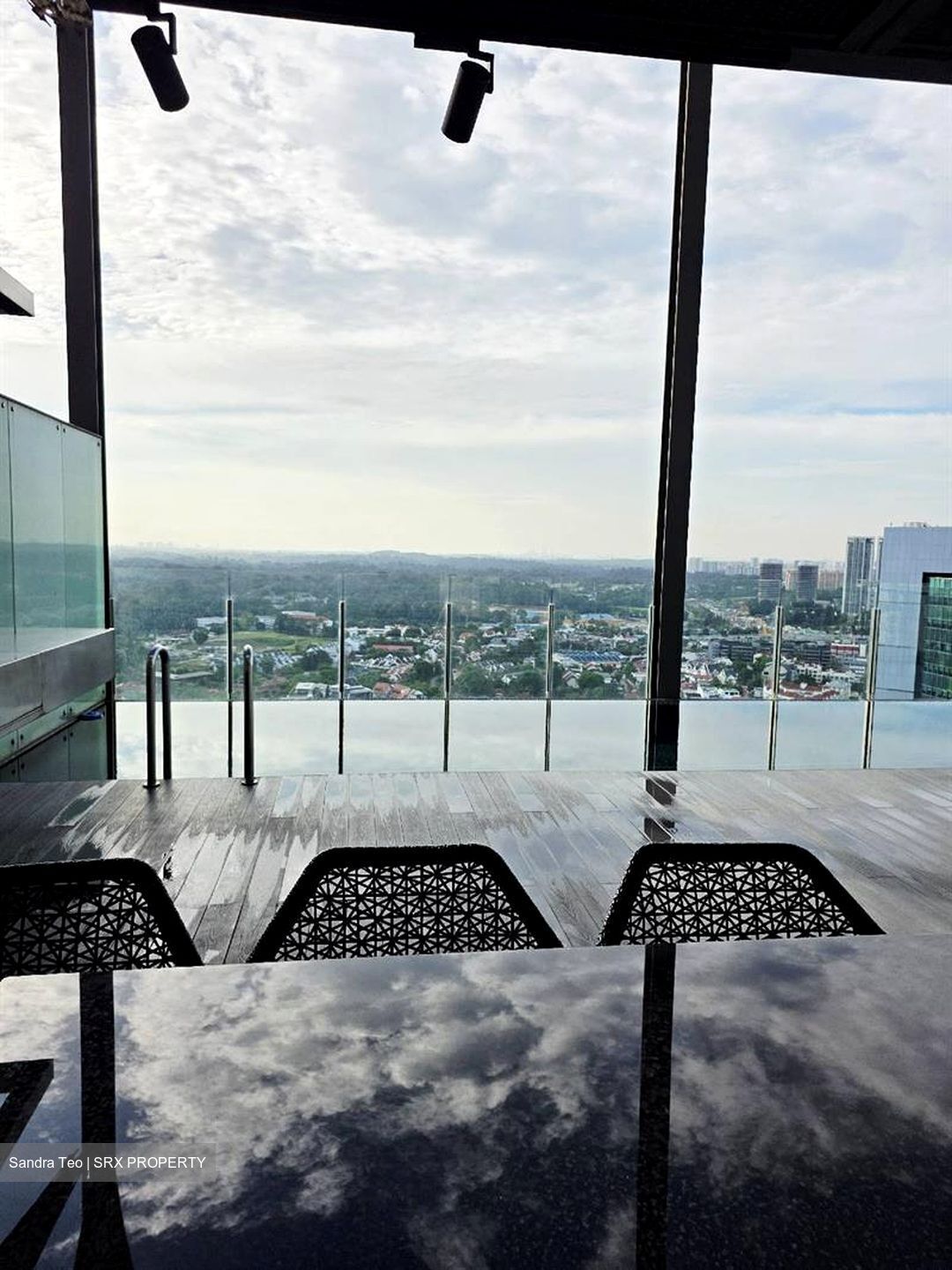 Newton Suites (D11), Apartment #480592111